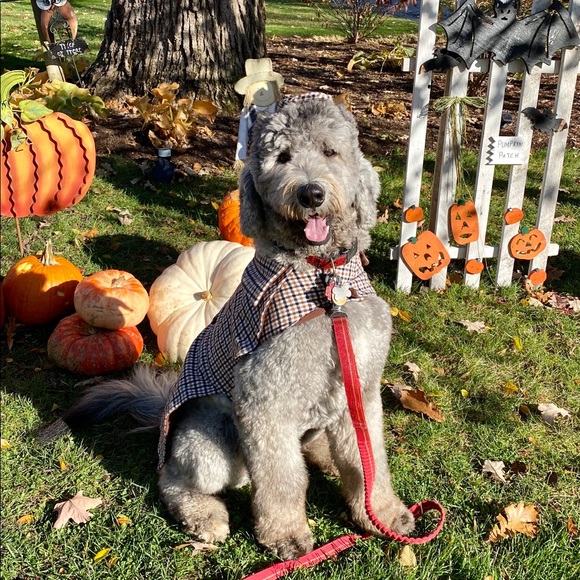 Meet the Posher - Picture 2 of 7